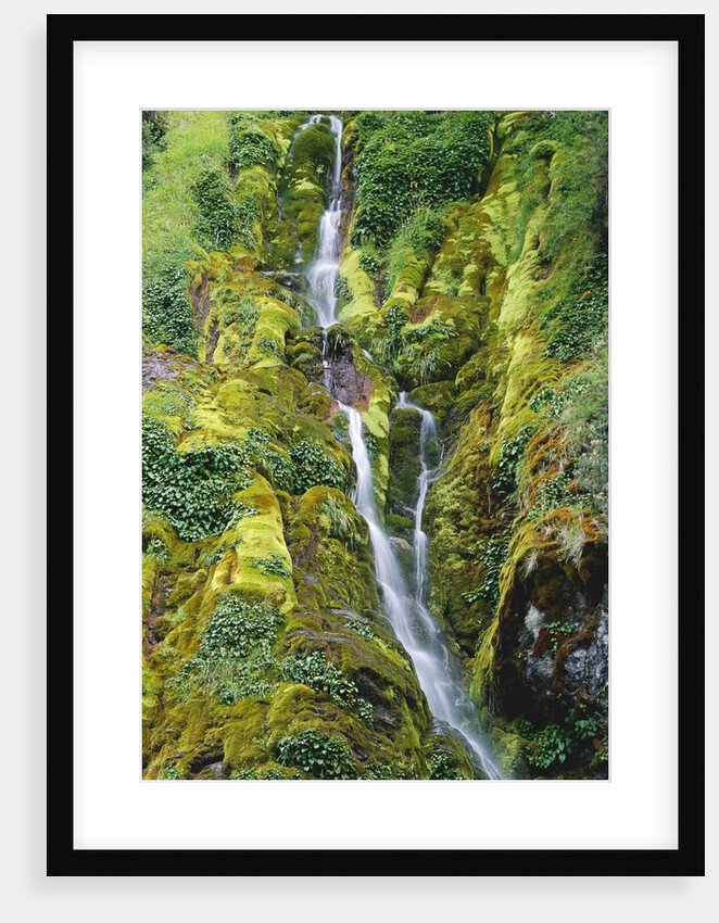 Waterfall on Moss-Covered Cliff by Anonymous