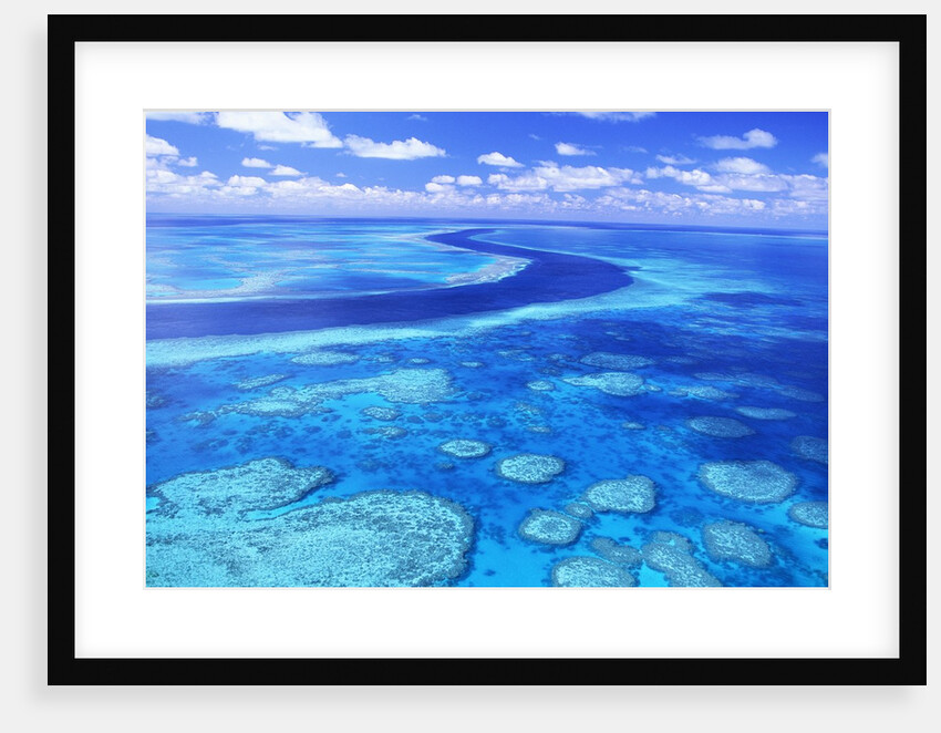Australia's Great Barrier Reef by Anonymous