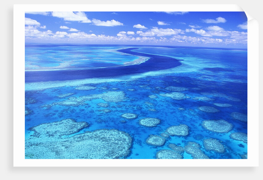 Australia's Great Barrier Reef by Anonymous