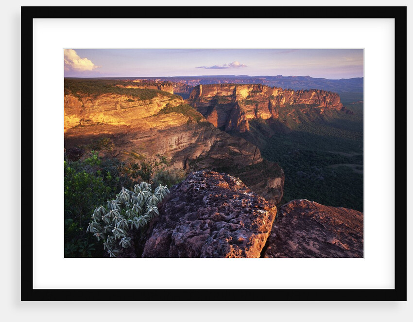 Sandstone Cliffs at Sunset by Anonymous