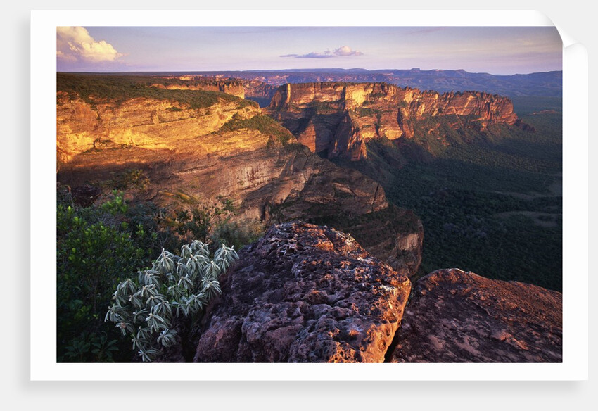 Sandstone Cliffs at Sunset by Anonymous