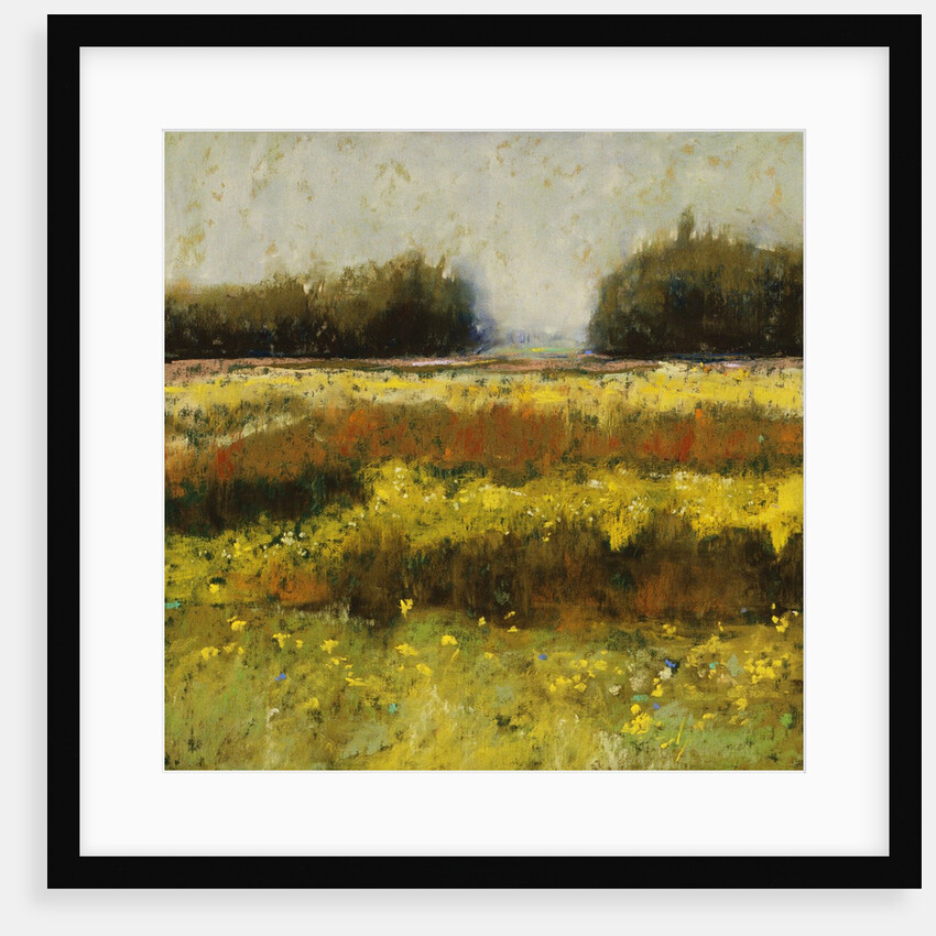 View from Dale Farm by Lou Wall