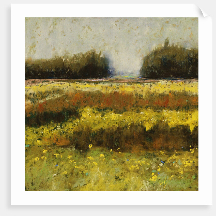 View from Dale Farm by Lou Wall