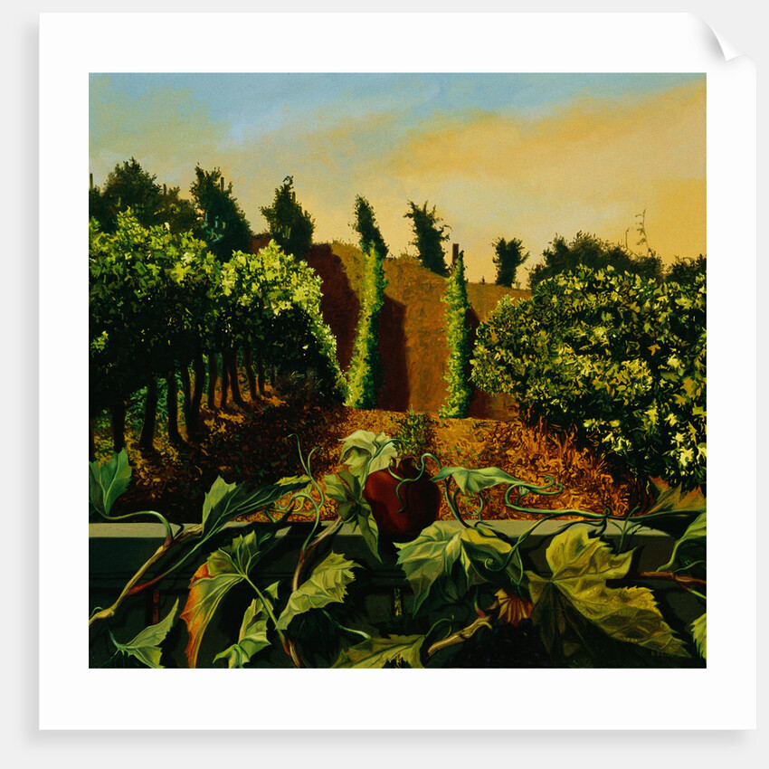 Persephone in the Vineyard by Anne Belov