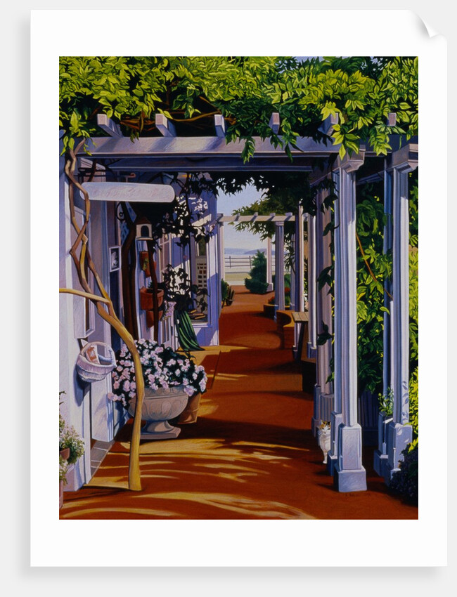 Passages by Anne Belov