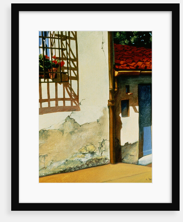 Florentine Door by Anne Belov