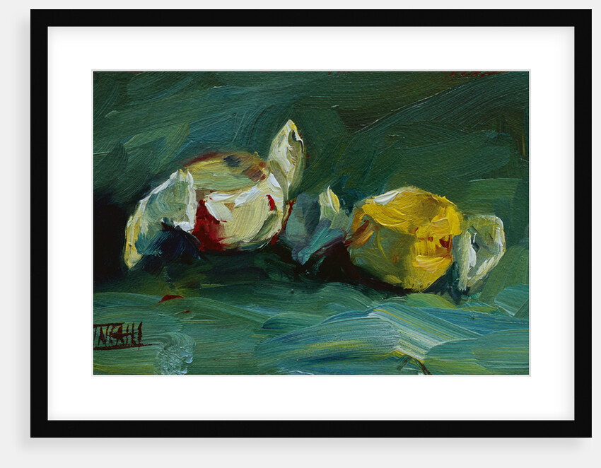 Taffy by Pam Ingalls