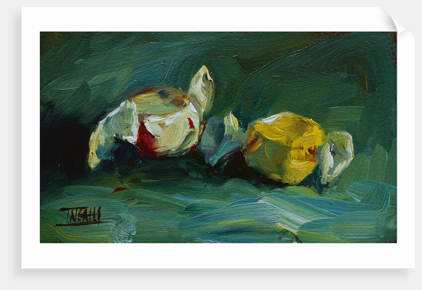 Taffy by Pam Ingalls