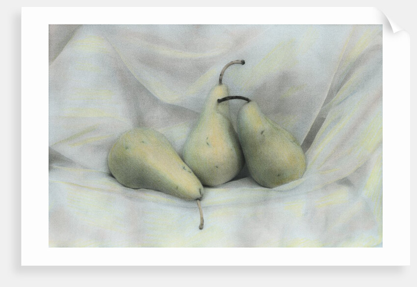 Pear Study #1731 by Kim Koza
