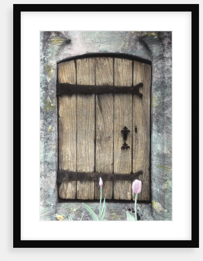 H.C. Cotswald Door and Tulips by Kim Koza