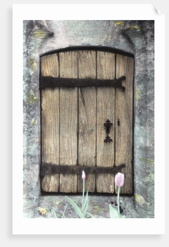 H.C. Cotswald Door and Tulips by Kim Koza