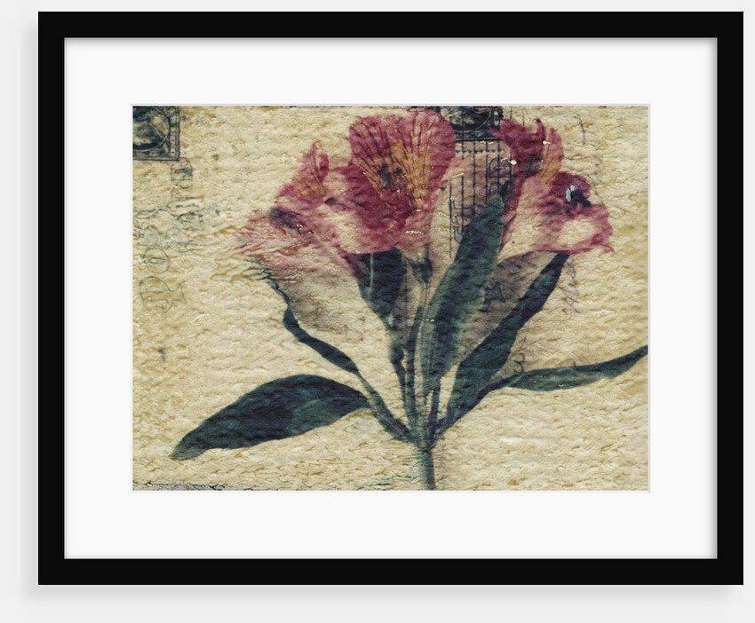 Stamp and Flower by Kim Koza