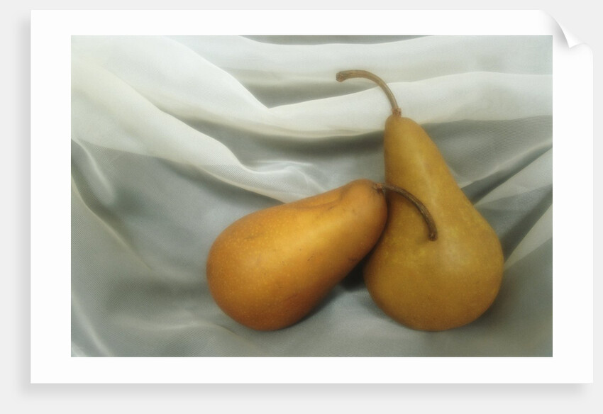 Pears by Kim Koza