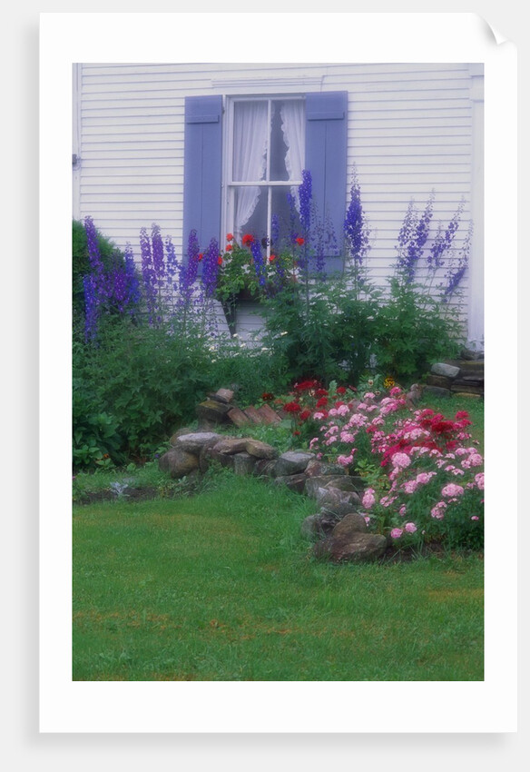 Blooming Cottage Flowers by Anonymous