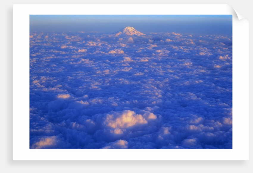 The Snowy Peak of Mount Rainier Rises Above the Clouds by Anonymous
