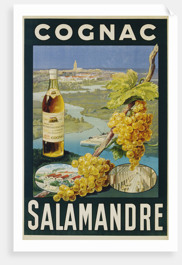 Cognac Salamandre Poster by Anonymous