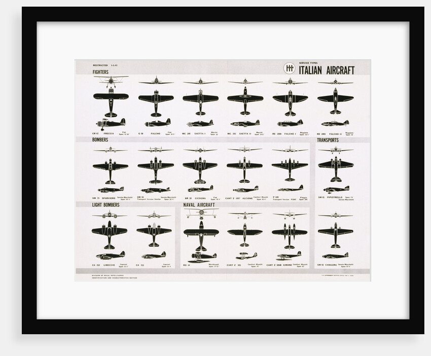 Poster of Italian Combat and Transport Aircraft by Anonymous