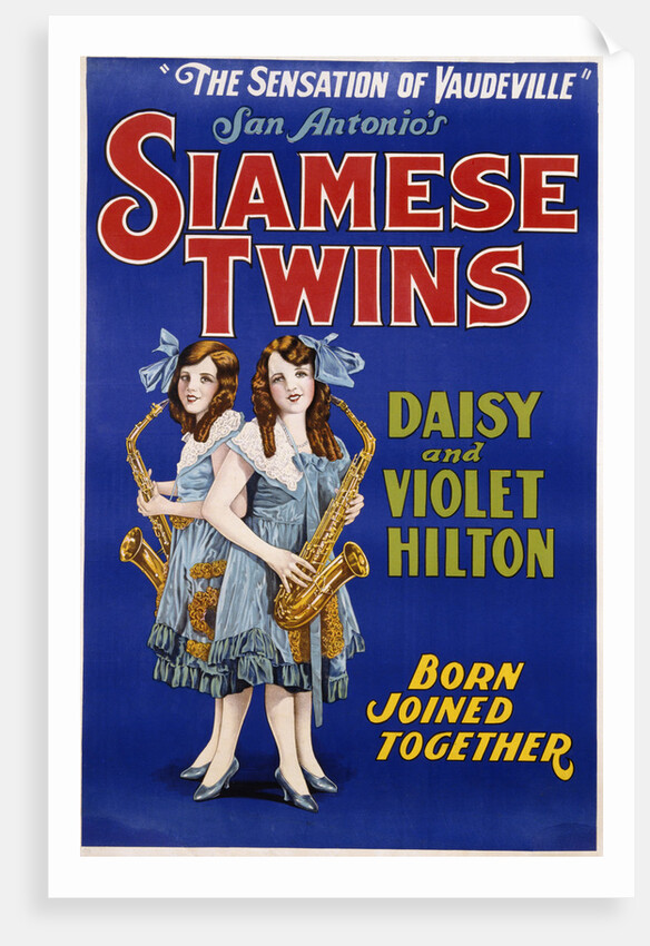 Poster Advertisement for Siamese Twins Daisy and Violet Hilton by Anonymous