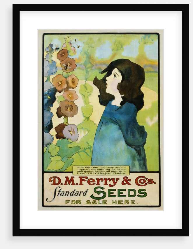 D.M. Ferry & Co's. Standard Seeds Poster by Anonymous