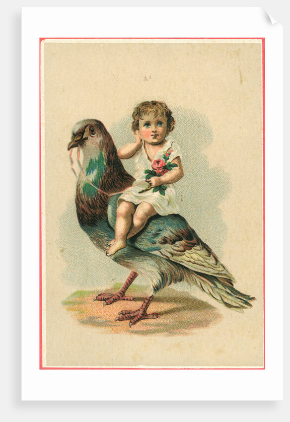 19th-Century Trade Card Depicting a Child Riding a Pigeon by Anonymous