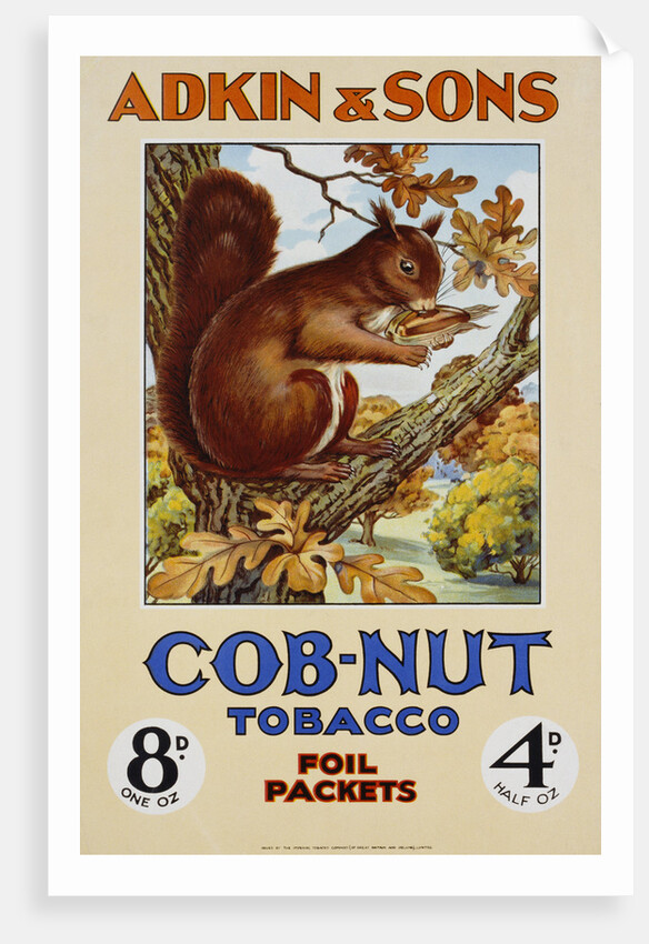 Adkin & Sons: Cob-Nut Tobacco Foil Packets Poster by Anonymous