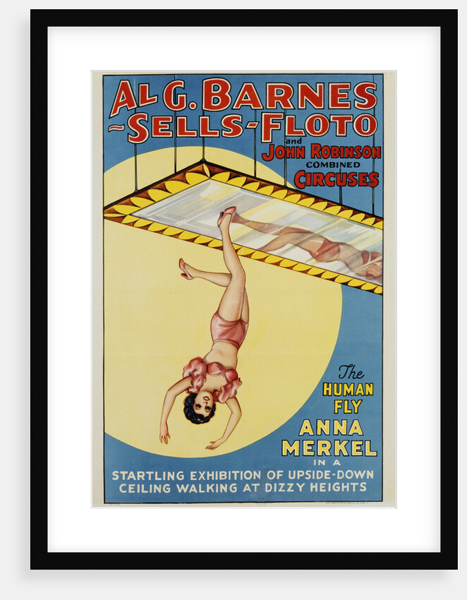The Human Fly - Anna Merkel Poster by Anonymous
