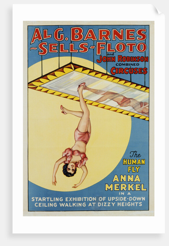 The Human Fly - Anna Merkel Poster by Anonymous