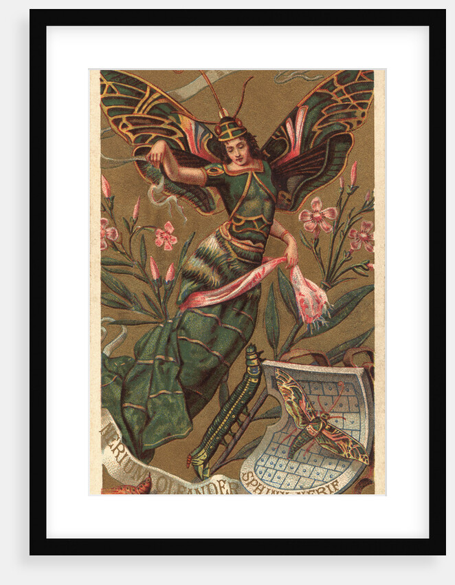 Nerium Oleander Perfume Advertisement by Anonymous