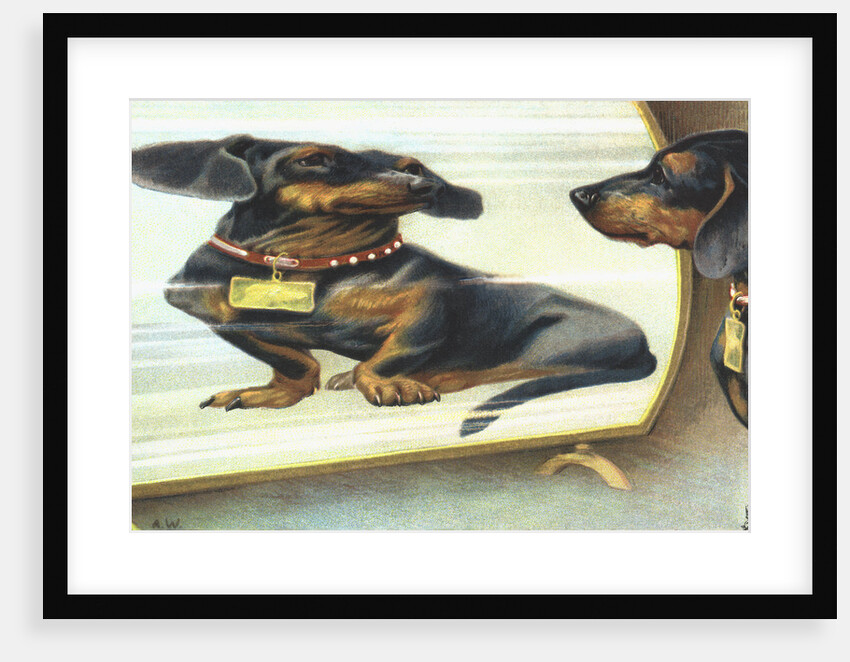 The Magic Mirror Postcard by Anonymous