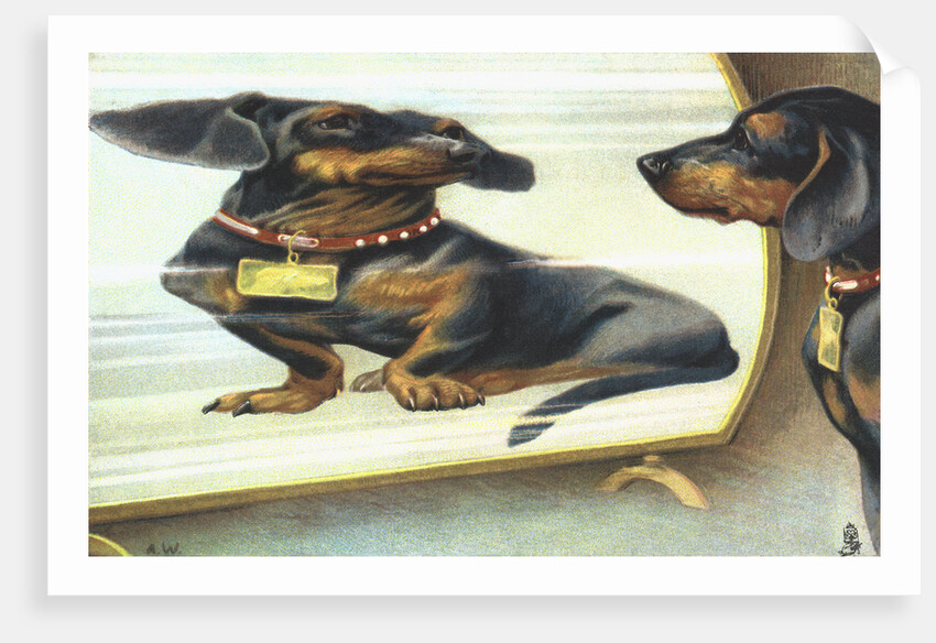 The Magic Mirror Postcard by Anonymous
