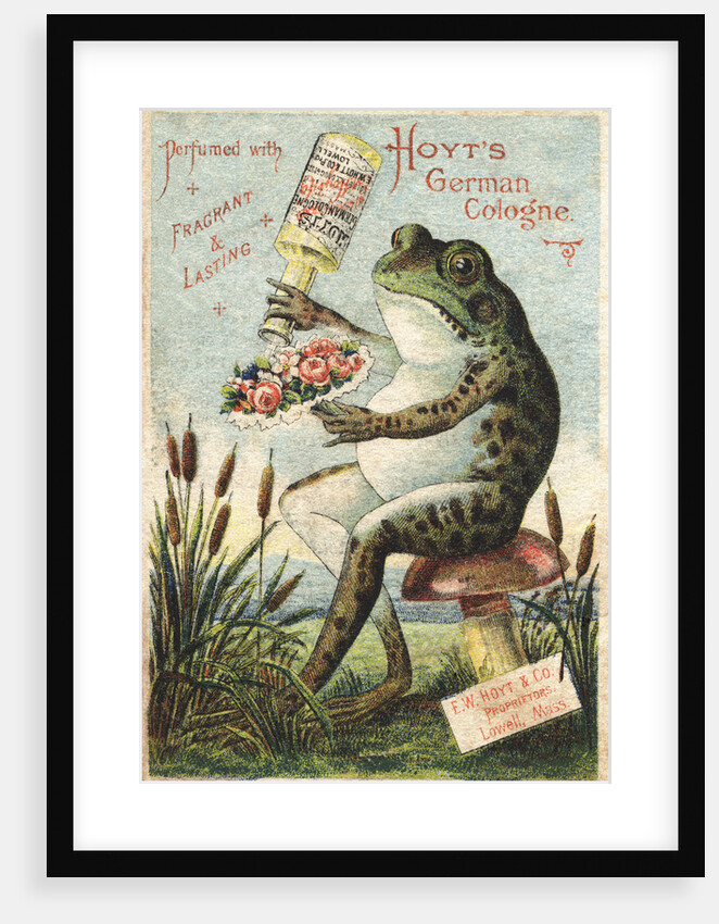 Hoyt's German Cologne Advertisement by Anonymous