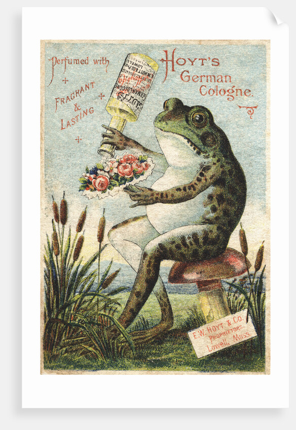 Hoyt's German Cologne Advertisement by Anonymous