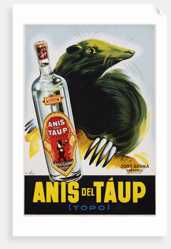 Anis del Taup Poster by A. Gil