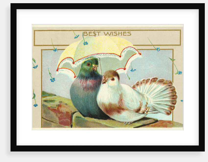 Best Wishes Postcard by Anonymous