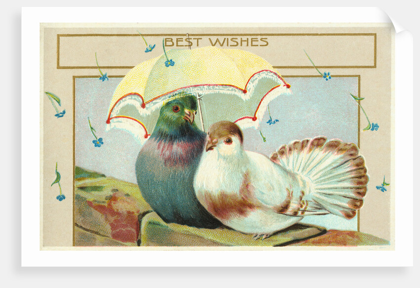 Best Wishes Postcard by Anonymous