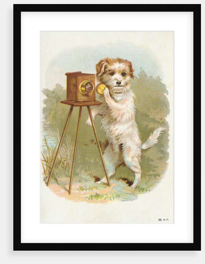 Trade Card of a Terrier Photographer by Anonymous