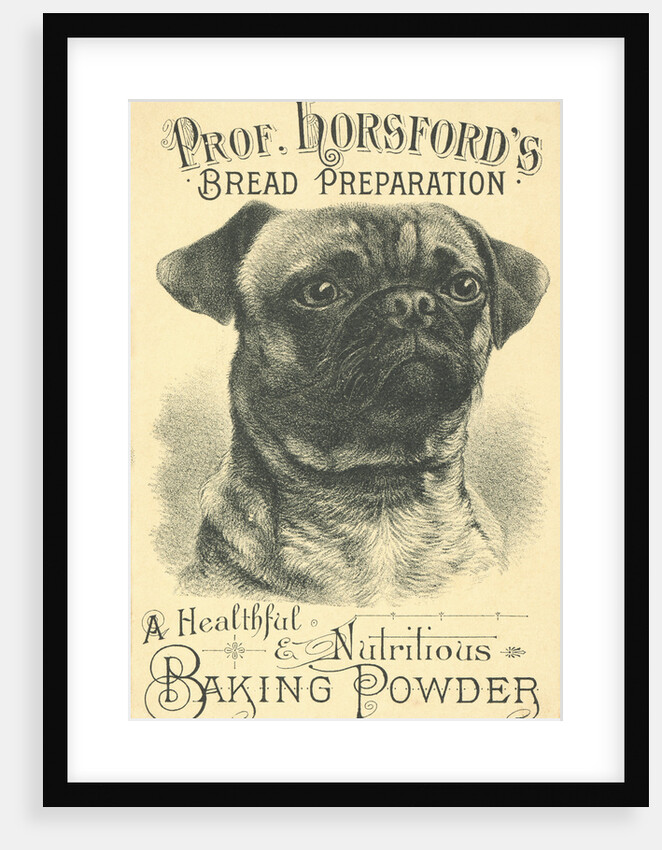 Prof. Horsford's Baking Powder Trade Card by Anonymous