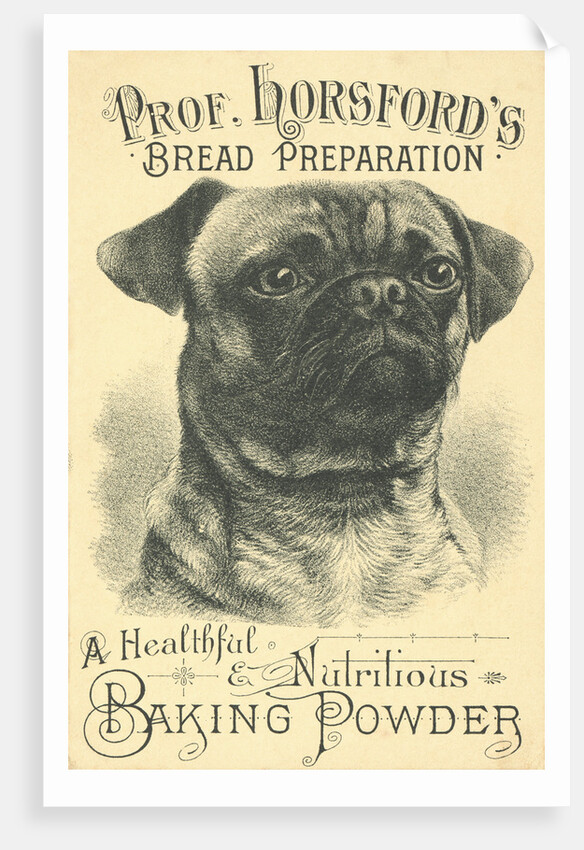 Prof. Horsford's Baking Powder Trade Card by Anonymous