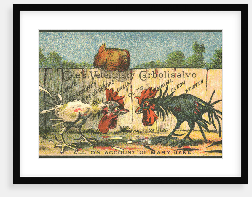 Cole's Veterinary Carbolisalve Trade Card by Anonymous