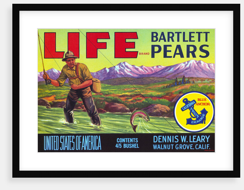 Life Brand Bartlett Pears Fruit Crate Label by Anonymous