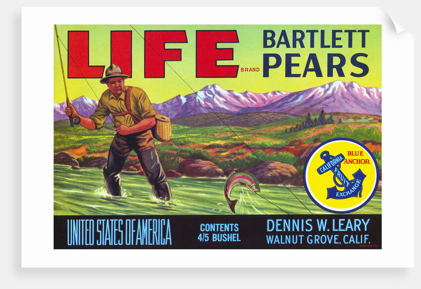 Life Brand Bartlett Pears Fruit Crate Label by Anonymous