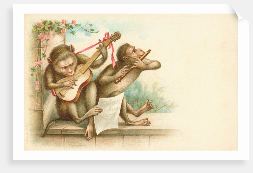 Victorian Postcard of Monkey Musicians by Anonymous