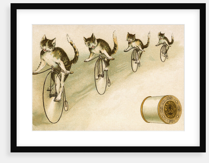 J&P. Coats Trade Card with Cats Bicycling by Anonymous