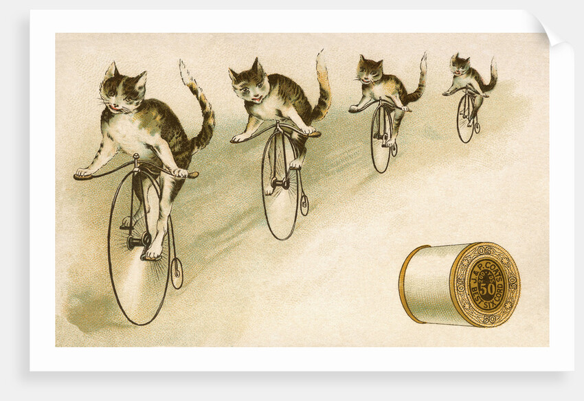 J&P. Coats Trade Card with Cats Bicycling by Anonymous