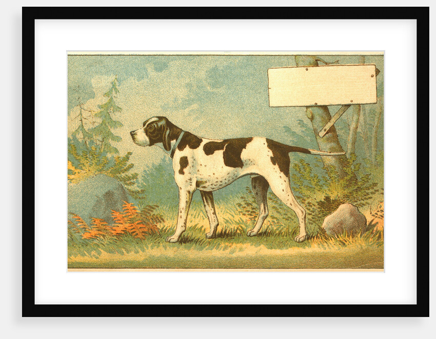 Trade Card of a Hound Dog in the Forest by Anonymous