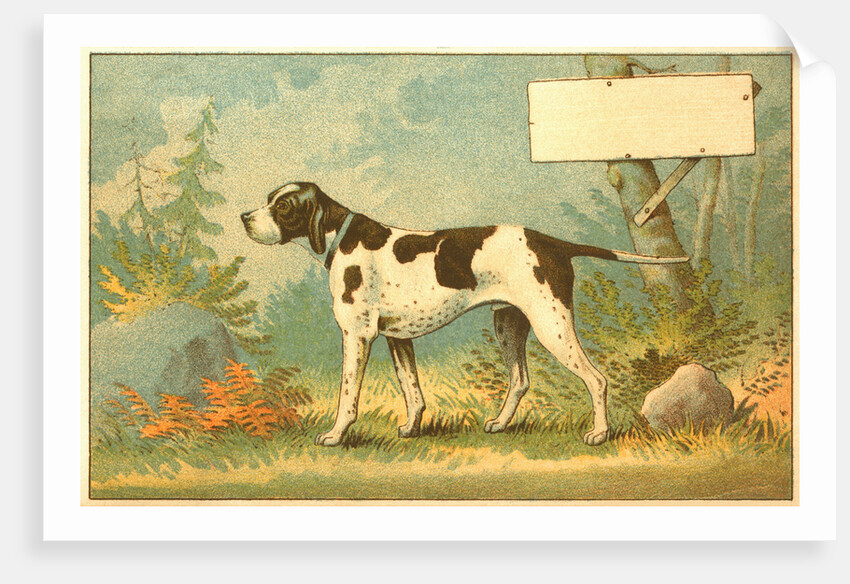 Trade Card of a Hound Dog in the Forest by Anonymous