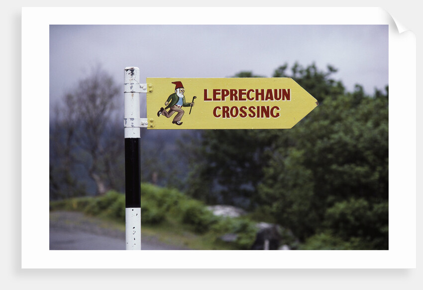 Leprechaun Crossing Sign by Anonymous