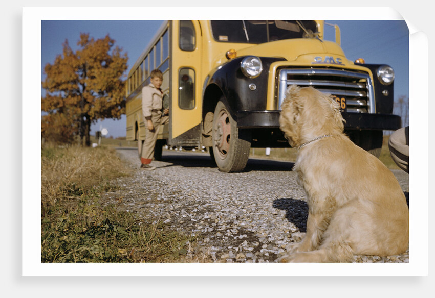 Faithful Dog Watching Boy Enter School Bus by Anonymous