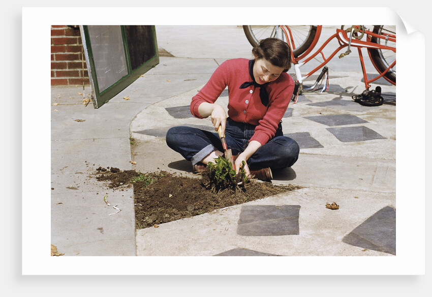 Woman Gardening by Anonymous