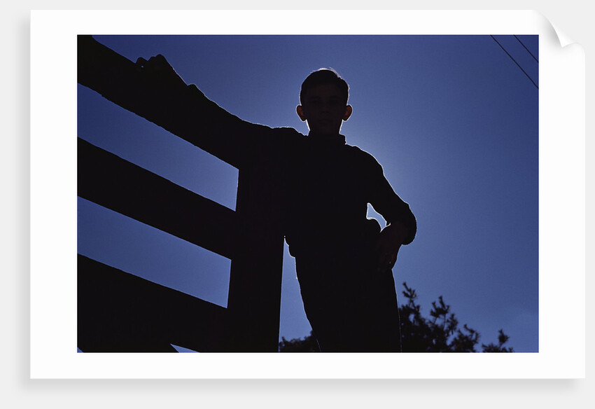 Silhouette of Boy Leaning Against Fence by Anonymous